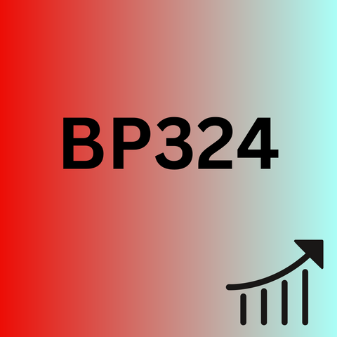 BP324 - Business Performance